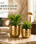 ecofynd Premium Golden Metal Planter – 7 and 5 Inch, Symmetrical Oval Design
