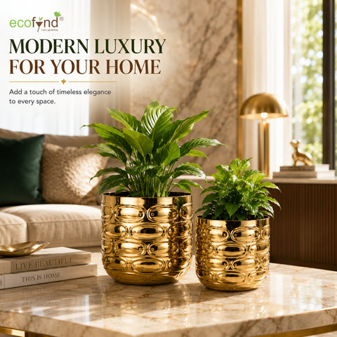 ecofynd Premium Golden Metal Planter – 7 and 5 Inch, Symmetrical Oval Design