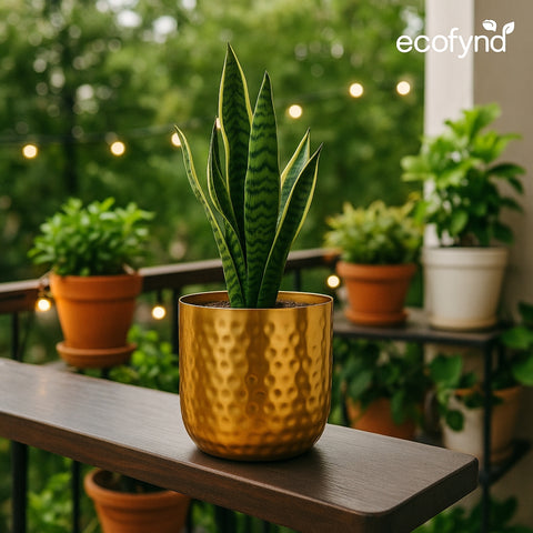 ecofynd 5 Inch Ivara Metal Plant Pots
