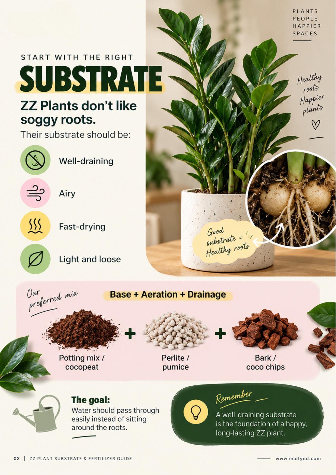 Well-draining ZZ plant substrate guide showing healthy roots, cocopeat, perlite and bark mix
