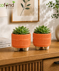 ecofynd 3.5 Inch Ceramic Plant Pots with Drainage Hole