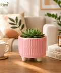 ecofynd 3.5 Inch Ceramic Plant Pots with Drainage Hole
