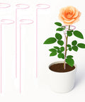 ecofynd Pink Metal Plant Trellis – 18 Inch Rust-Resistant Stake