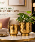 ecofynd Premium Golden Metal Planter – Set of 2, Goblet Design