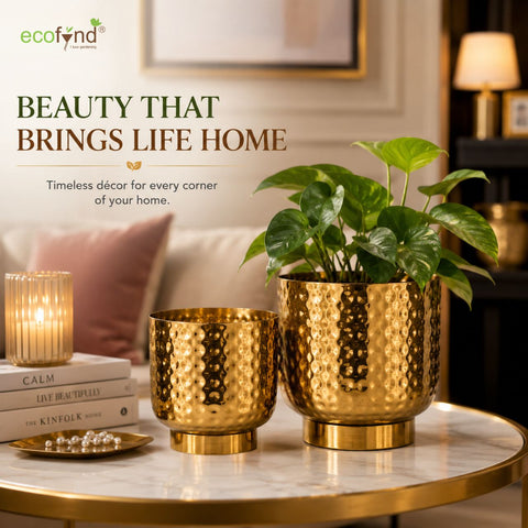 ecofynd Premium Golden Metal Planter – Set of 2, Goblet Design