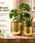 ecofynd Set of 2 Linea Patterned Golden Groove Planter – Gold Finish