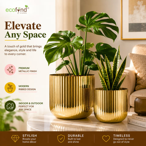 ecofynd Set of 2 Linea Patterned Golden Groove Planter – Gold Finish