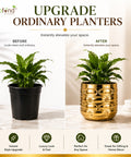 ecofynd Premium Golden Metal Planter – 5 Inch, Symmetrical Oval Design