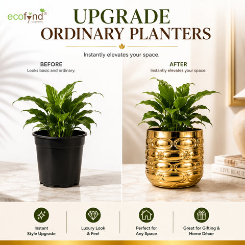 ecofynd Premium Golden Metal Planter – 5 Inch, Symmetrical Oval Design