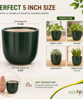 ecofynd 5 Inch Ceramic Plant Pots with Drainage Hole