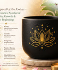 ecofynd 4.5 Inch Lotus Terracotta Pot for Indoor Plants