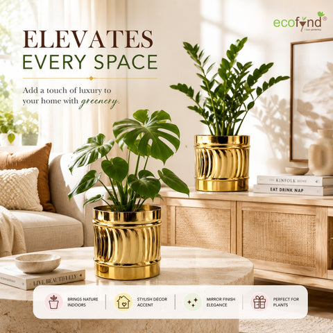ecofynd Set of 2 Cylindrical Metal Planter – 6/7 Inch, Symmetrical Design
