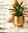 ecofynd Halo Ribbed 7 Inch Planter - Gold Finish Symmetrical Design