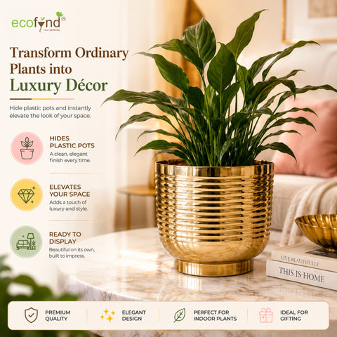 ecofynd Halo Ribbed 7 Inch Planter - Gold Finish Symmetrical Design