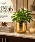 ecofynd Premium Golden Metal Planter – 5 Inch, Spiral Design
