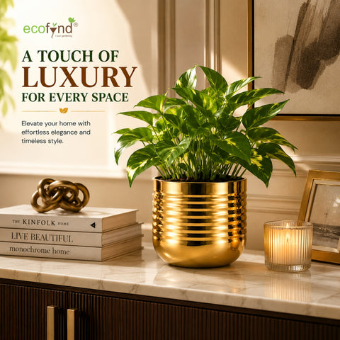 ecofynd Premium Golden Metal Planter – 5 Inch, Spiral Design