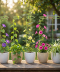 ecofynd Light Green Metal Plant Trellis – 18 Inch Rust-Resistant Stake
