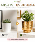 ecofynd Premium Golden Metal Planter – 5 Inch, Goblet Design