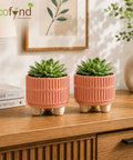 ecofynd 3.5 Inch Ceramic Plant Pots with Drainage Hole