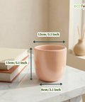 ecofynd Ecofynd Blush Pink 5 inch Ceramic Cachepot Planter for Indoor Plants