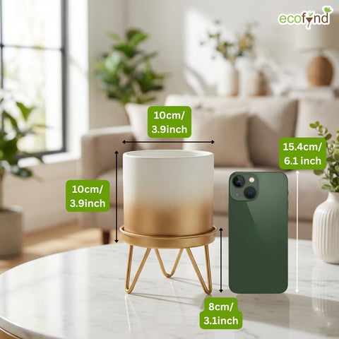 ecofynd Ecofynd Lucas Tabletop Metal Planter with Gold Stand