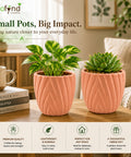 ecofynd 4 Inch Ceramic Plant Pots with Drainage Hole