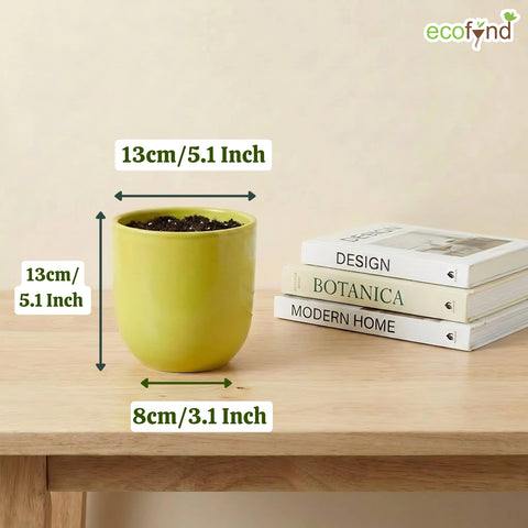 ecofynd Ecofynd Light Green 5 inch Ceramic Cachepot Planter for Indoor Plants