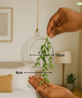ecofynd Hanging Glass Planter – Cut Sphere Design | Clear Transparent Glass, Small