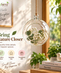 ecofynd Hanging Glass Planter – Cut Sphere Design | Clear Transparent Glass, Medium