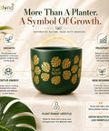 ecofynd 4.5 Inch Monstera Terracotta Pot for Indoor Plant