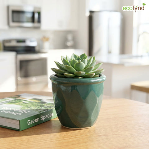 ecofynd Ecofynd Dark Green 4.3 Inch Cachepot Planter with Drainage Hole for Desk