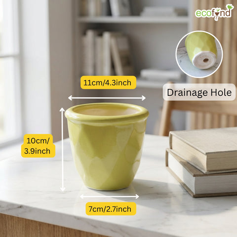 ecofynd Ecofynd Light Green 4.3 Inch Cachepot Planter with Drainage Hole for Desk