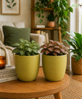 ecofynd 5 Inch Ceramic Plant Pots with Drainage Hole