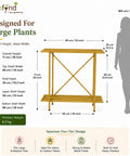 Ecofynd Adam Metal Plant Stand | 2-Tier Shelf for Indoor & Outdoor Use | Ecofynd
