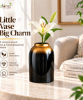 ecofynd Glass Vase for Flowers & Decor – Jar Shaped | Black with Gold Hue