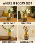 ecofynd Glass Vase for Flowers & Décor – Clear Oval Shape | White