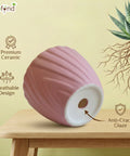 ecofynd Ecofynd Pink Twisted 4 Inch Ceramic Cachepot Planter for Indoor Plants