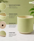 ecofynd Ecofynd 6 Inch Light Green Ceramic Cachepot Planter with Drainage