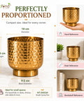 ecofynd Premium Golden Metal Planter – 5 Inch, Goblet Design