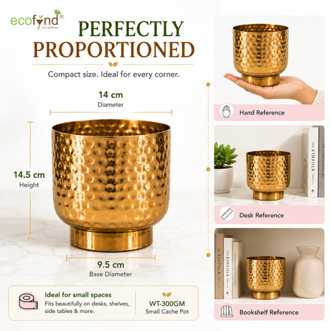 ecofynd Premium Golden Metal Planter – 5 Inch, Goblet Design