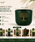 ecofynd 4.5 Inch Tree of Life Terracotta Pot for Indoor Plants