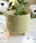 ecofynd Ecofynd Light Green 3.5 Inch Ribbed Ceramic Cachepot Planter with Drainage Hole