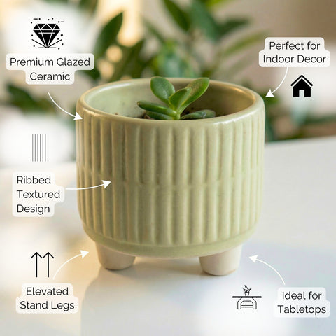 ecofynd Ecofynd Light Green 3.5 Inch Ribbed Ceramic Cachepot Planter with Drainage Hole