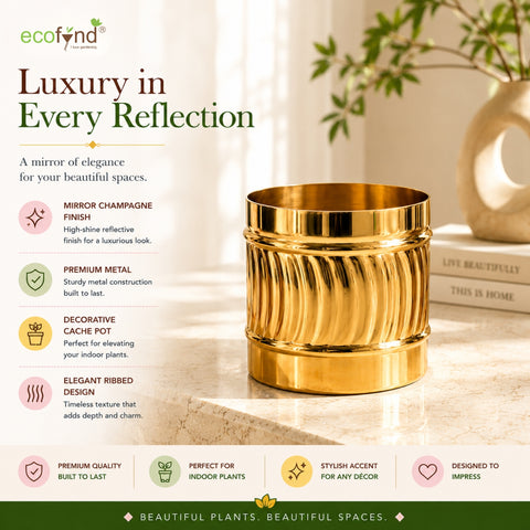 ecofynd Set of 2 Cylindrical Metal Planter – 6 Inch, Symmetrical Design