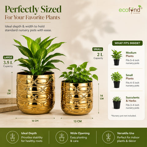 ecofynd Premium Golden Metal Planter – 7 and 5 Inch, Symmetrical Oval Design