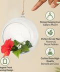 ecofynd Hanging Glass Planter – Cut Sphere Design | Clear Transparent Glass, Small