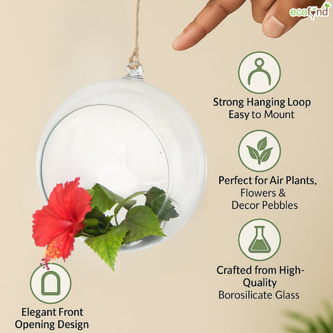 ecofynd Hanging Glass Planter – Cut Sphere Design | Clear Transparent Glass, Small