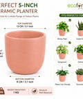 ecofynd 5 Inch Ceramic Plant Pots with Drainage Hole