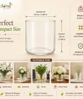 ecofynd 3.9 Inch Glass Flower Vase for Fresh & Artificial Flowers