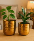 ecofynd Ivara Metal Plant Pots